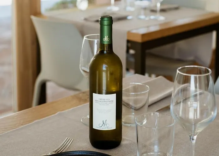 Ca Vida Фермерский дом Ziano Piacentino